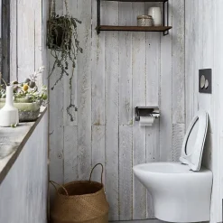Abattant Wc|Jacob Delafon Abattant extra-plat , Nouvelle Vague descente progressive et déclipsable, Blanc