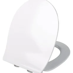 Abattant Wc|Bemis Abattant WC - DUBOURGEL - Thermodur - FUSION 2