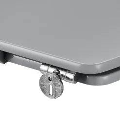 GoodHome Abattant WC avec frein de fermeture, gris, Morava