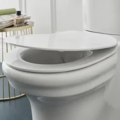 Jacob Delafon Abattant WC extra-plat Cléo 1889 à descente progressive et déclipsable blanc