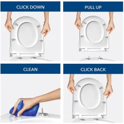 Abattant Wc|Bemis Abattant WC noir mat avec frein de chute déclipsable