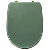 5Five Abattant WC standard coloris vert ficus, Duo