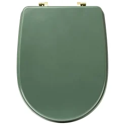 5Five Abattant WC standard coloris vert ficus, Duo