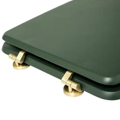 5Five Abattant WC standard coloris vert ficus, Duo