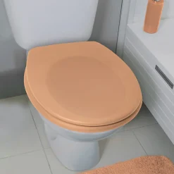 Spirella Abattant wc Thermo dur avec frein de chute NEELA Pêche Charnières ABS Chromé