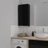 Planète Bain Armoire de salle de bain 40x80 Noire brillante à suspendre