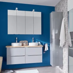 Armoire De Toilette|Meuble De Salle De Bains Faible Profondeur|GoodHome Armoire de toilette avec miroir l.60 x H.90 x P.15 cm, Imandra