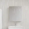 Stano Armoire de toilette bloc-miroir FORTINA largeur 60 cm blanc