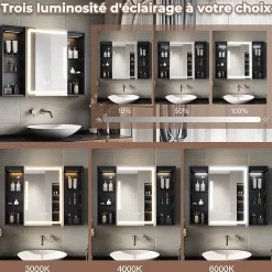 Armoire De Toilette|Sirhona Armoire de toilette Grand Rangement 60x75 cm + Interrupteur tactile + Température LED tricolore + Anti-buée + Prise rasoir