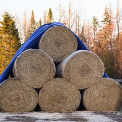 ECD Germany Bâche de couverture étanche protection en PE avec oeillets 8x10 m 260 g/m² bleu
