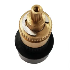 Bernstein Cartouche thermostatique en céramique pour thermostat de colonne et systèmes de douche