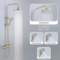 Dileci Colonne de douche couleur or brossé -
