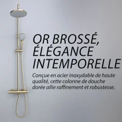 Dileci Colonne de douche couleur or brossé -