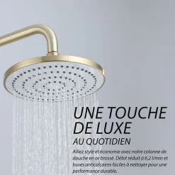 Dileci Colonne de douche couleur or brossé -