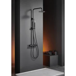 Imex Products Colonne de douche externe CURVED Mitigeur monocommande Canon de fusilChroméNoir matCanon de fusilOr brosséOr rose brossé Colonne