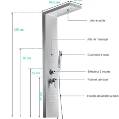 Saniverre Colonne de douche hydromassante ZENY 3 jets Gris / Argent -