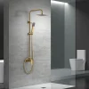 Imex Products Colonne de douche mitigeur or brosse acier et laiton douchette extensible pomme extraplate antic