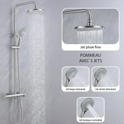Dileci Colonne de douche nickel brossé,chrome - 2 fonctions -