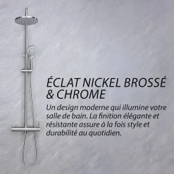 Dileci Colonne de douche nickel brossé,chrome - 2 fonctions -