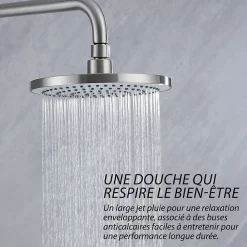 Dileci Colonne de douche nickel brossé,chrome - 2 fonctions -