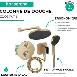 Hansgrohe Colonne de douche thermostatique Ecostat S Douche de tête Pulsify S Flexible Isiflex Douchette Pulsify bronze brossé