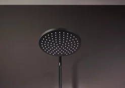 Colonne De Douche Thermostatique|Hansgrohe Colonne de douche thermostatique noir mat Vernis Blend