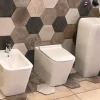 Laneri Couple de sanitaires au ras du mur et à poser ligne carré