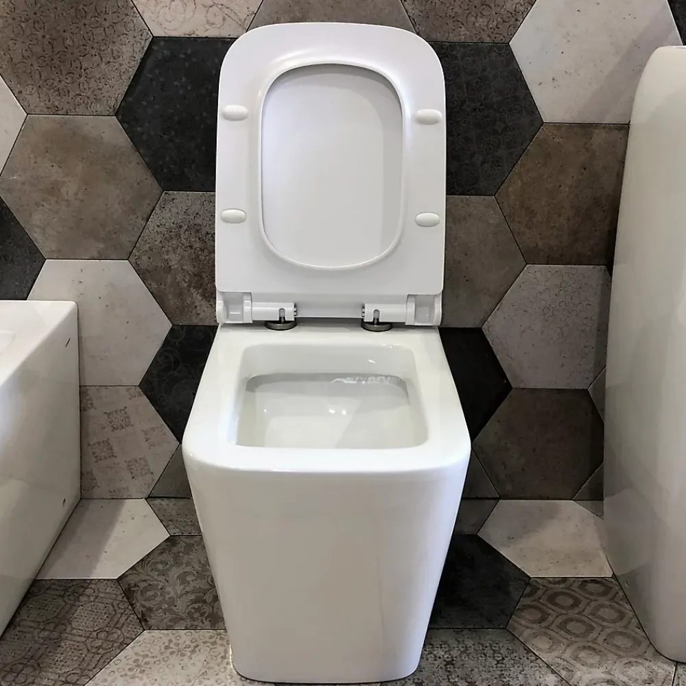 Laneri Couple de sanitaires au ras du mur et à poser ligne carré