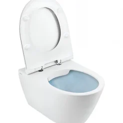Sanindusa Cuvette de WC céramique traditionnelle suspendue système d'hygiène sans bride Rimflush 56 Sanlife blanc mate texturé