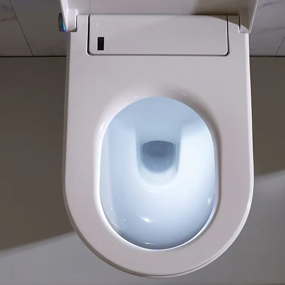 Planète Bain Cuvette wc lavante -séchante WC Clean- Wc japonais