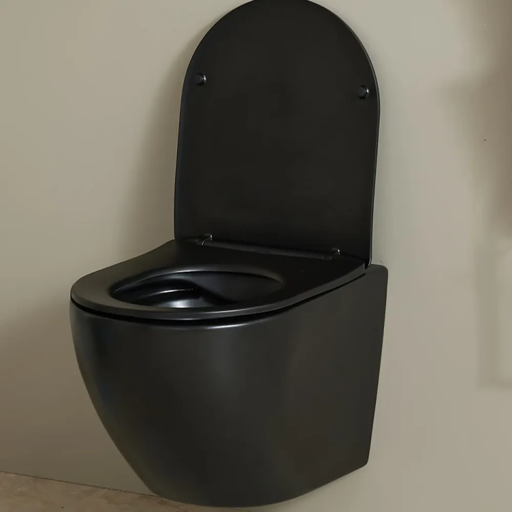 Planète Bain Cuvette WC suspendu gain de place 49 cm sans bride noir mat - Corolla