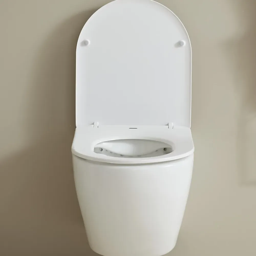 Wc Suspendu|Planète Bain Cuvette WC suspendu gain de place 49 cm sans bride blanc brillant - Corolla