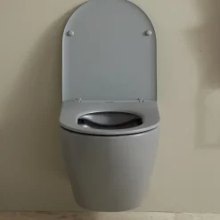 Wc Suspendu|Planète Bain Cuvette WC suspendu gris mat 54 cm sans bride fixations invisibles - Cyrus
