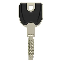 Urinoir|Vachette Cylindre profil européen RADIAL-R 42x42mm 3 clés - - 20987000