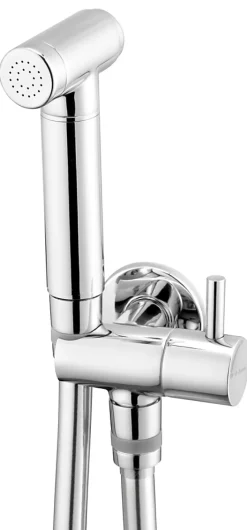 Deante Robinet Bidet Douchette Chrome Mural Monocommande