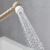 Pommeau De Douche, Flexible Et Barre De Douche|Hansgrohe Douchette à main 2 jets beige, Jocolino Lion
