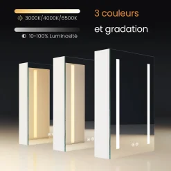 EMKE Armoire de Toilette 1 Porte - Charnières Gauche, LED Ajustable 3000K-6500K, Anti-Buée, Soft Close, Prises USB