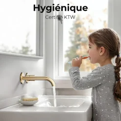 Robinet Lavabo Et Vasque|EMKE Robinet de Salle de Bain Modulaire,281x140x65mm,Corps en Laiton, Or Champagne,Mitigeur de lavabo mural,Cartouche en Céramique