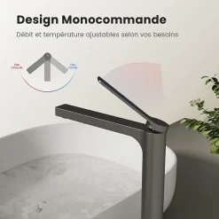 EMKE Robinet Lavabo Salle de Bain 335x233x46 mm Anthracite, Mitigeur en Cuivre, Robinet de Cuisine, Cartouche Céramique