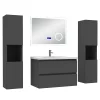 Ensemble Meuble De Salle De Bains|AICA Sanitaire Ensemble meuble 80 cm anthracite avec 2 tiroirs, lavabo céramique + Miroir Bluetooth tricolore + 2 colonnes hautes, suspendu