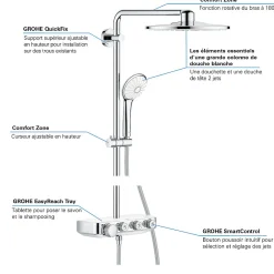 Colonne De Douche Thermostatique|Grohe Colonne de douche thermostatique Euphoria System 310 Cool Sunrise brossé 26075GN0