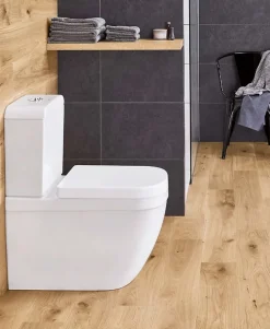 Grohe WC à poser sans bride Euro Ceramic + abattant