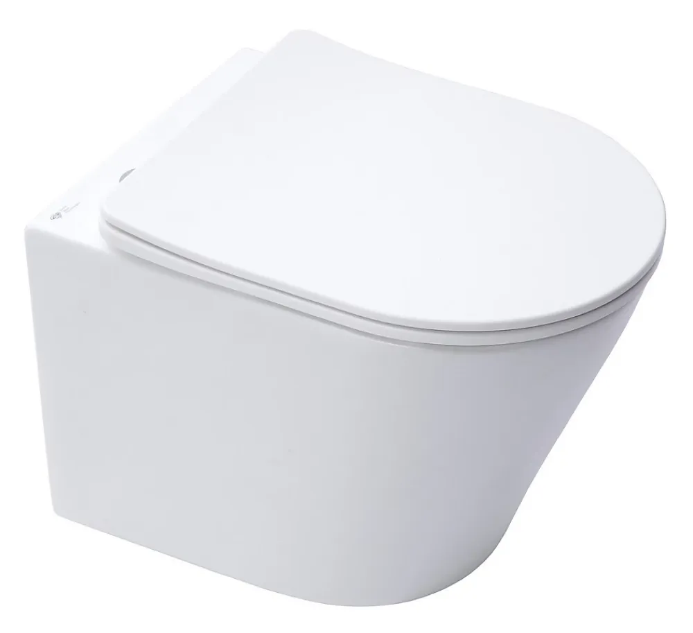 Wc Suspendu|Swiss Aqua Technologies Infinitio WC suspendu sans bride fixations invisibles, Abattant frein de chute, Blanc mat SATINF010RREXPWM
