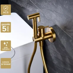Imex Kit Douchette anti-calcaire hygiénique encastrée WC ou Bidet Salle de Bain Or Brossé MUNICH RDM001/OC