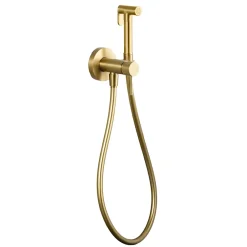 Imex Kit Douchette anti-calcaire hygiénique encastrée WC ou Bidet Salle de Bain Or Brossé LINE RDD038/OC