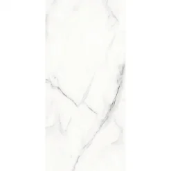 Decoon Lot de 4 Dalles Murales Douche SPC/PVC Décor Marbre Blanc brillant - 59,2x118,4cm - 2,8M²