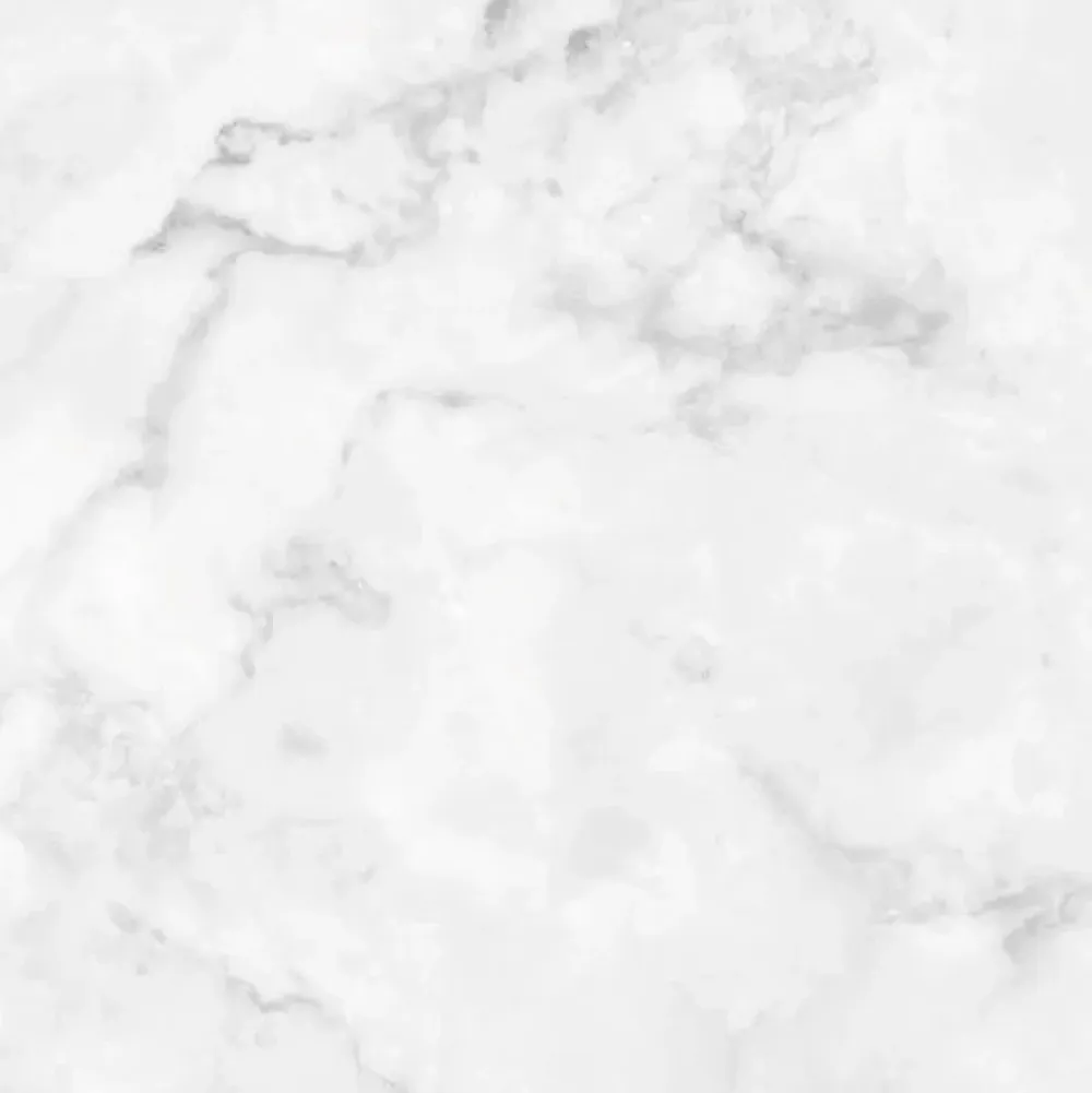 99Deco Lot de 2 panneaux de douche en aluminium (90x220 & 120x220 cm) + profilés blanc - Effet Marbre clair