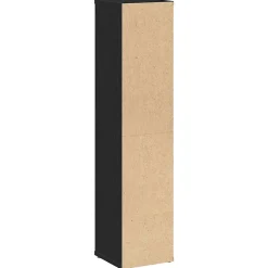 Vidaxl Meuble de salle de bain avec porte-rouleau noir 20,5x20x90 cm