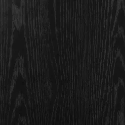 Vidaxl Meuble de salle de bain avec porte-rouleau noir 20,5x20x90 cm
