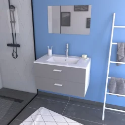 Ensemble Meuble De Salle De Bains|Aurlane Meuble salle de bain 80 cm suspendu 2 tiroirs Gris avec vasque et miroir - BOX-IN